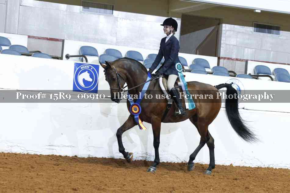 Proof 15R9_06910