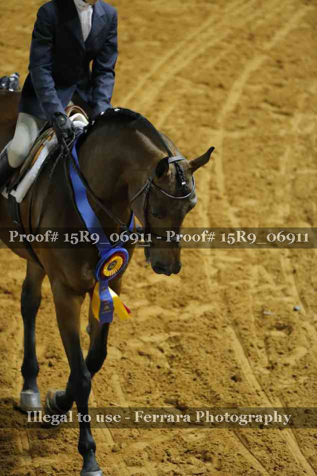 Proof 15R9_06911