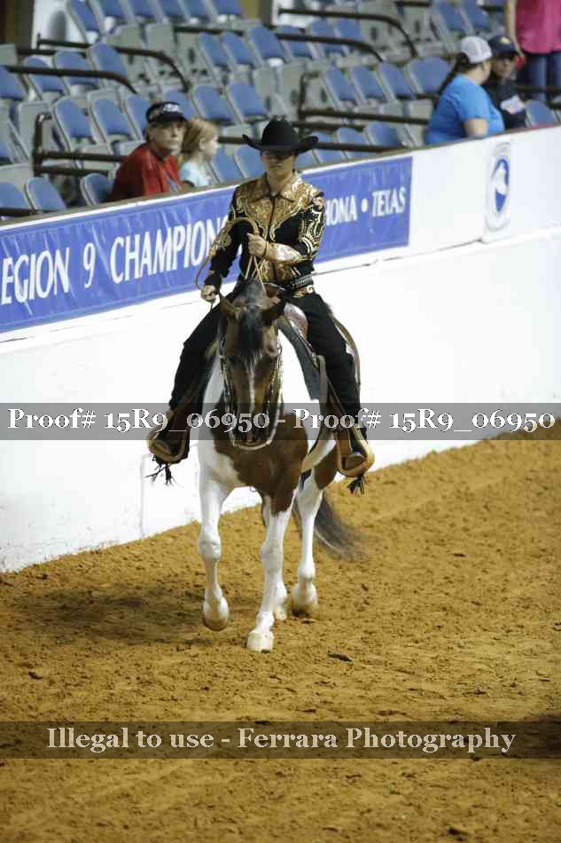 Proof 15R9_06950