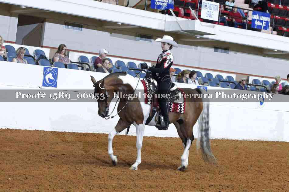 Proof 15R9_06953
