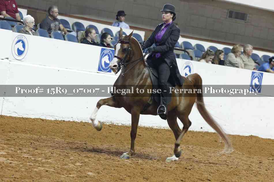 Proof 15R9_07007
