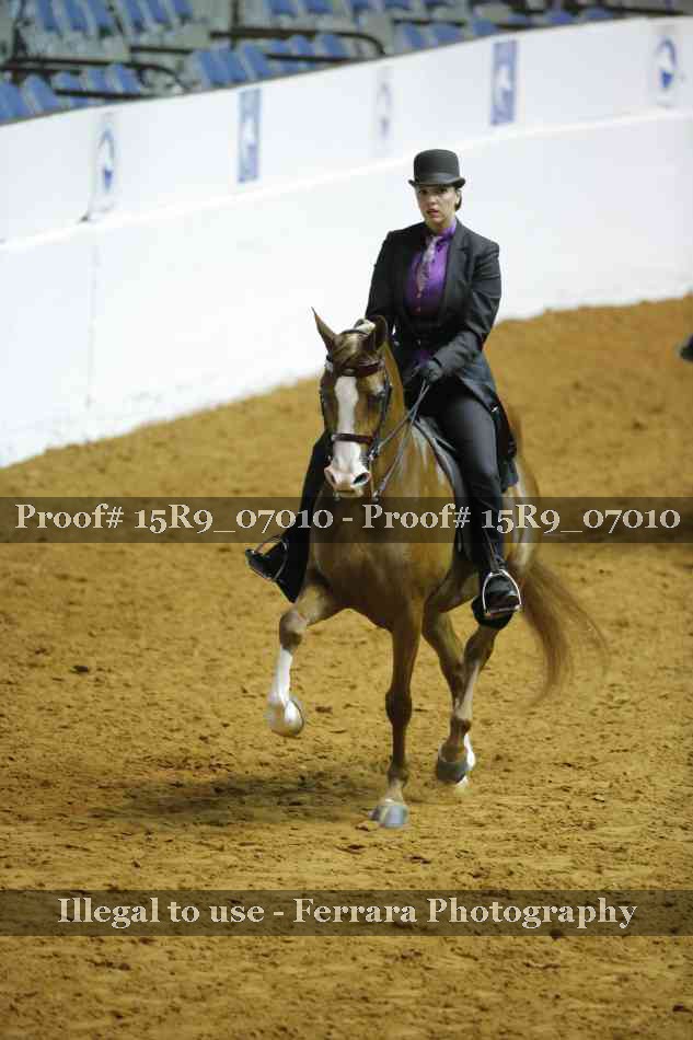 Proof 15R9_07010