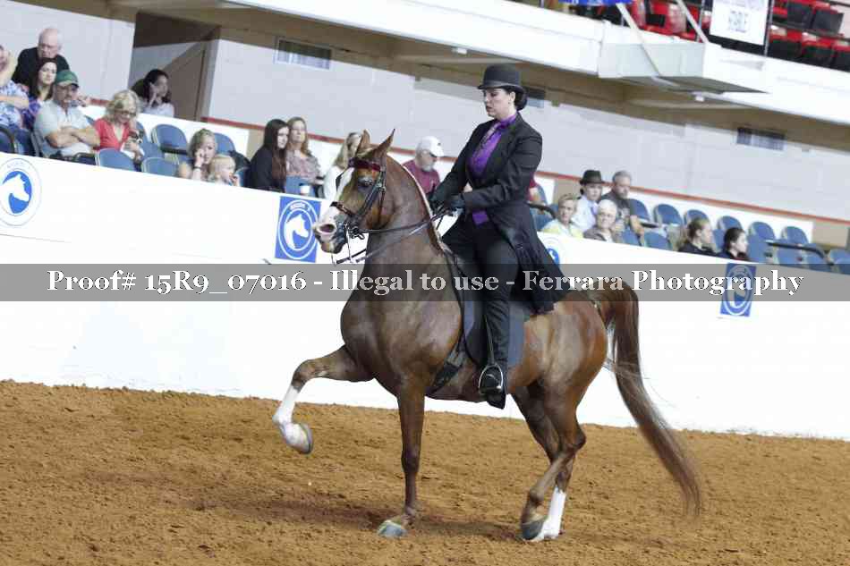 Proof 15R9_07016