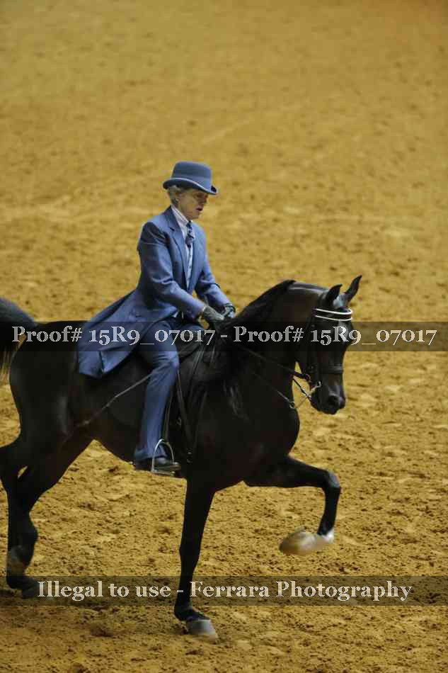 Proof 15R9_07017