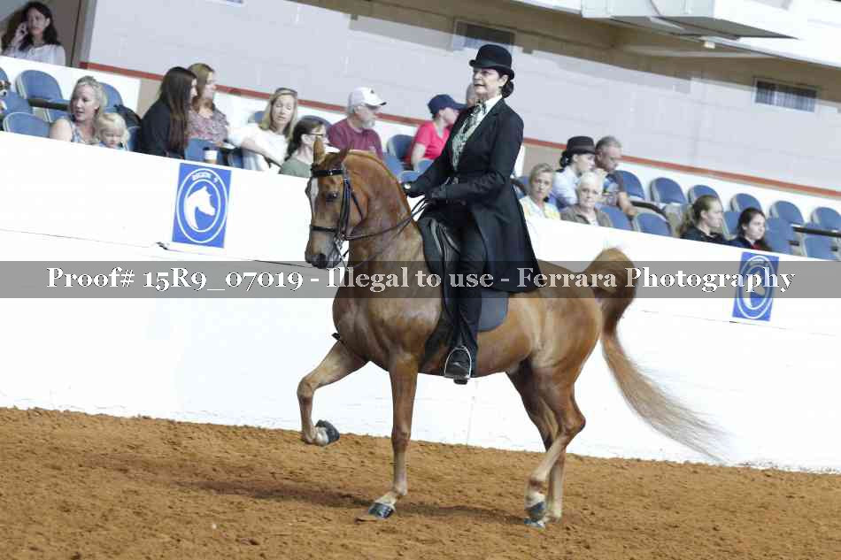Proof 15R9_07019