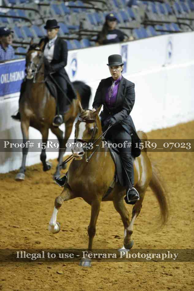 Proof 15R9_07023