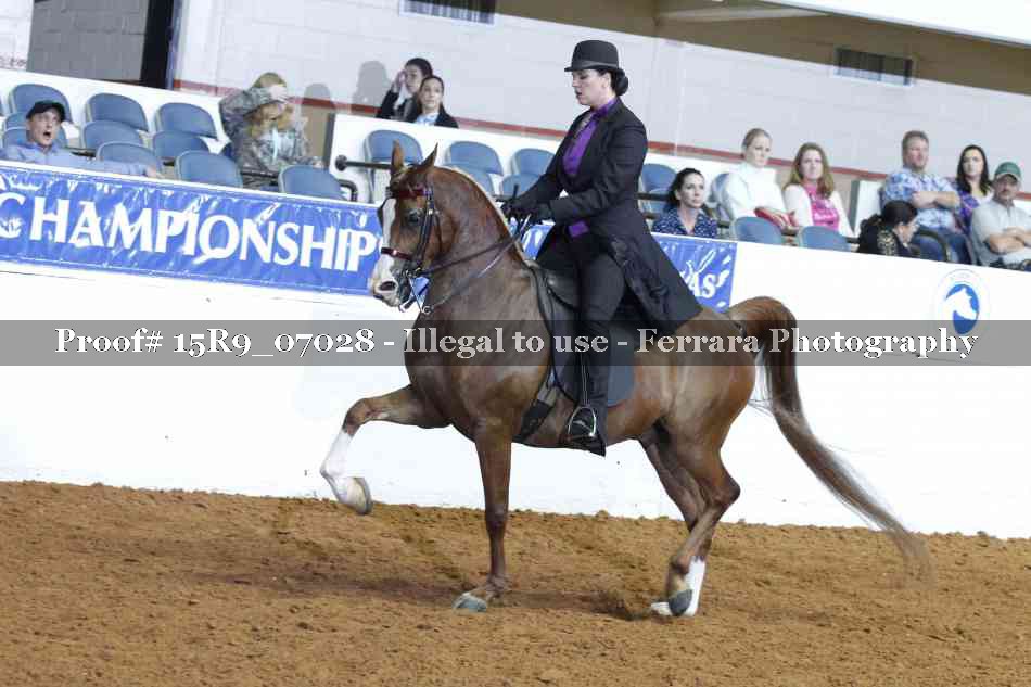 Proof 15R9_07028
