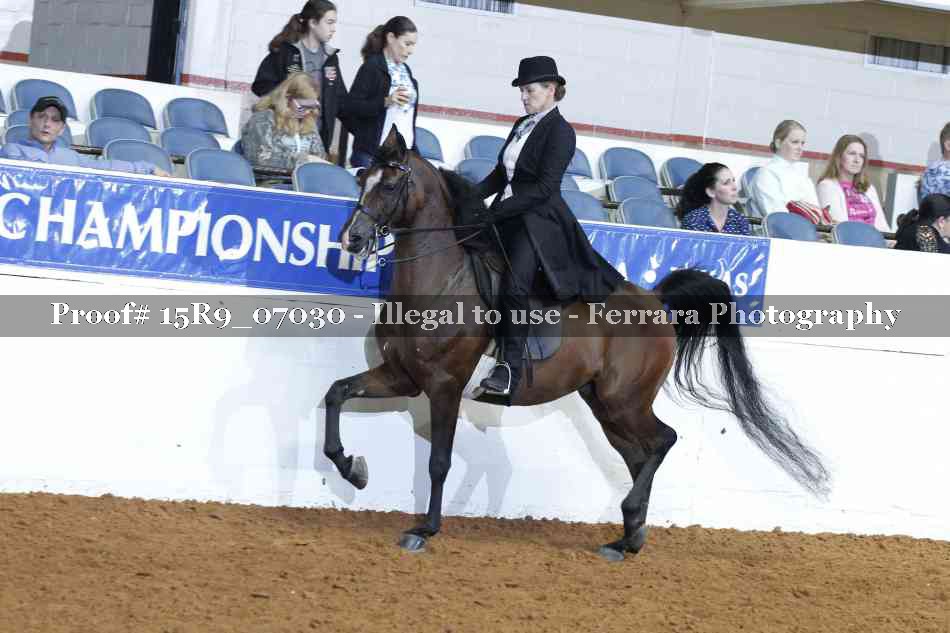 Proof 15R9_07030
