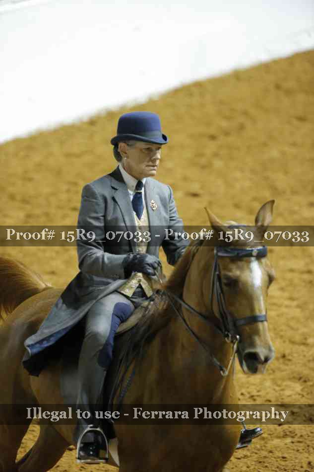 Proof 15R9_07033