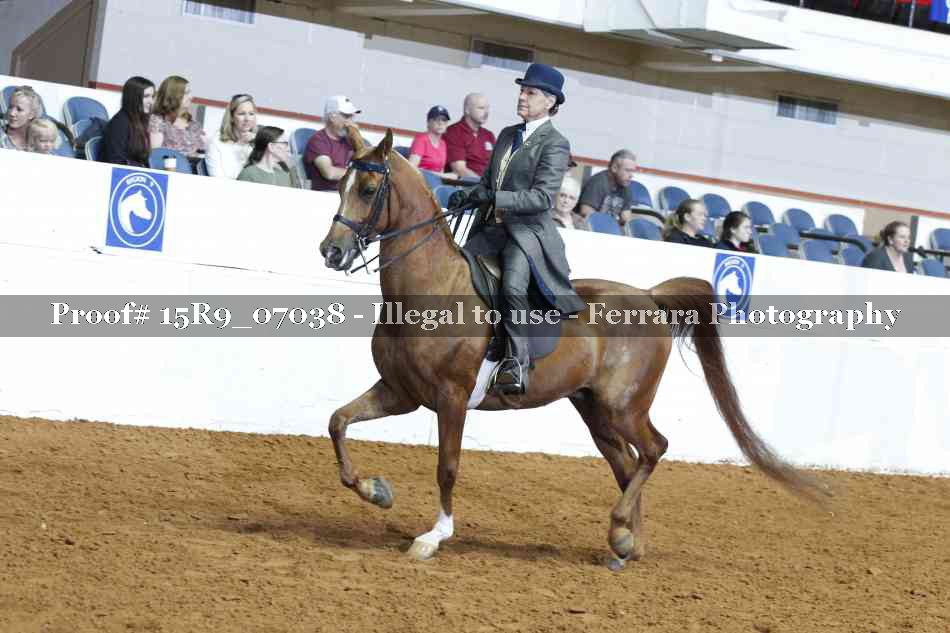 Proof 15R9_07038