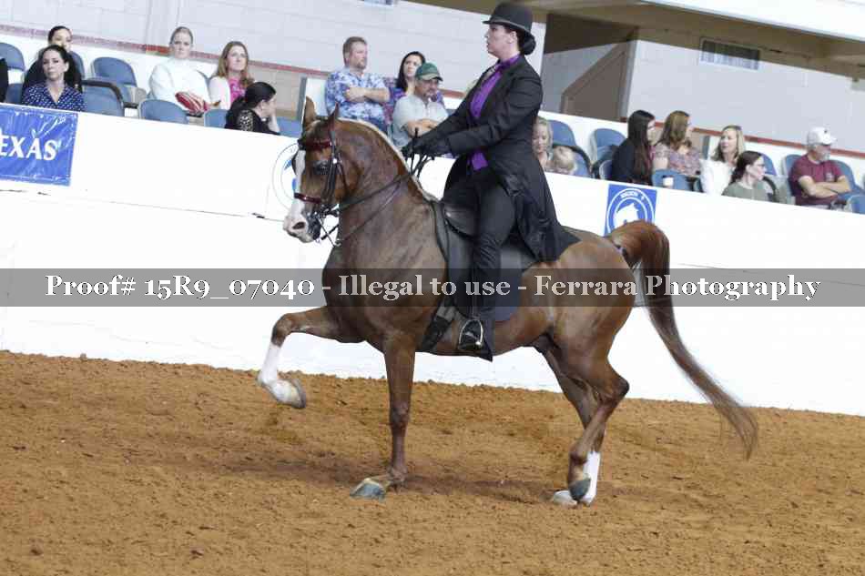 Proof 15R9_07040
