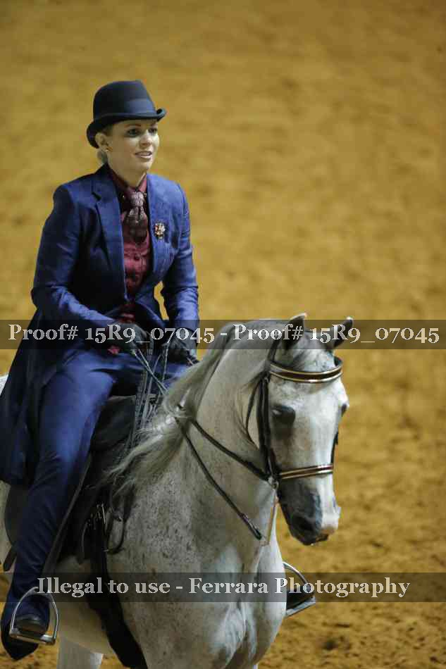 Proof 15R9_07045