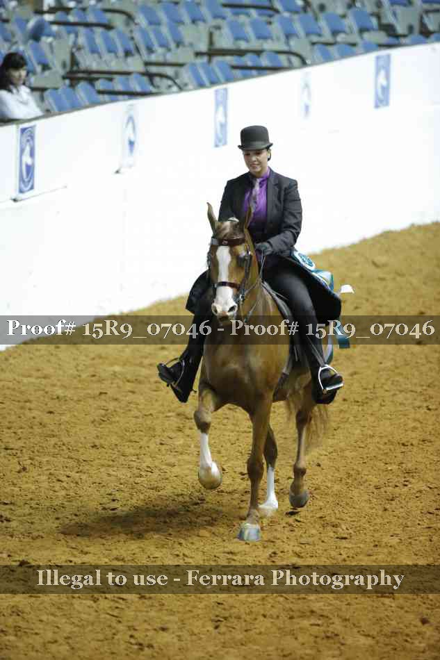 Proof 15R9_07046