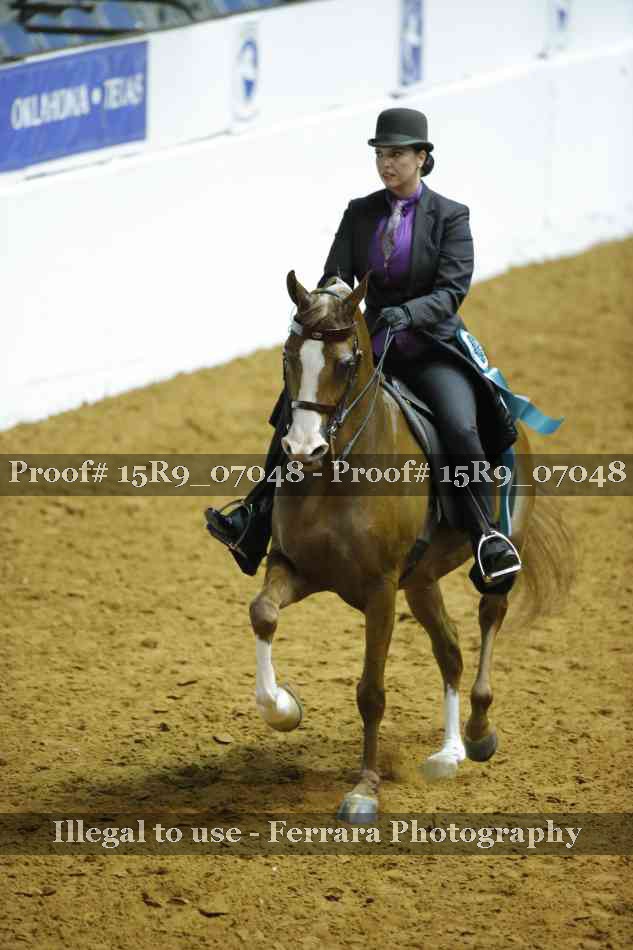 Proof 15R9_07048