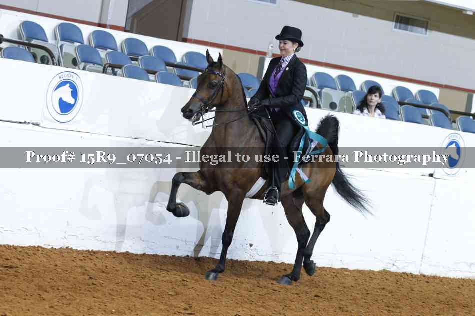 Proof 15R9_07054