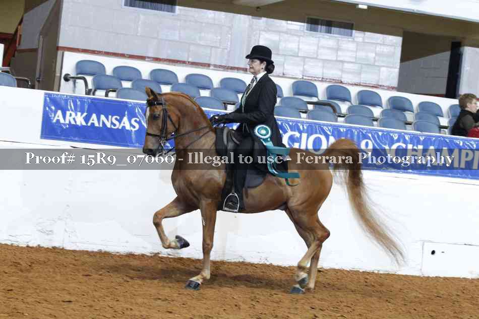 Proof 15R9_07060