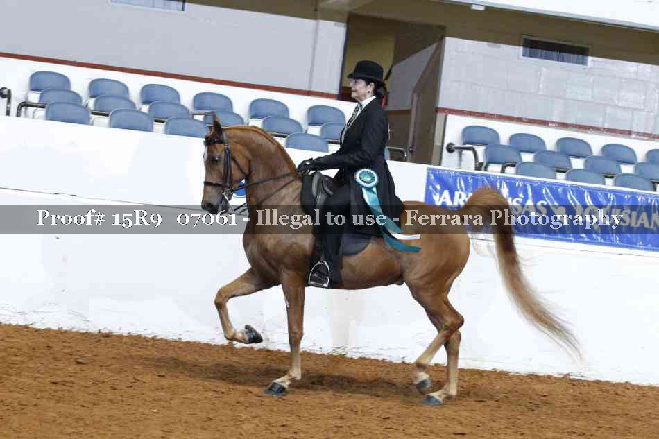 Proof 15R9_07061