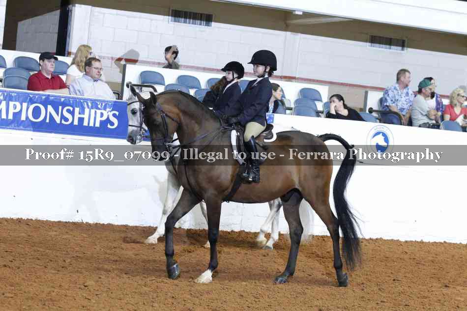 Proof 15R9_07099