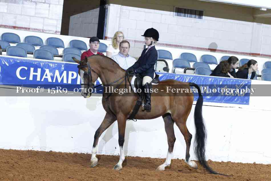 Proof 15R9_07101