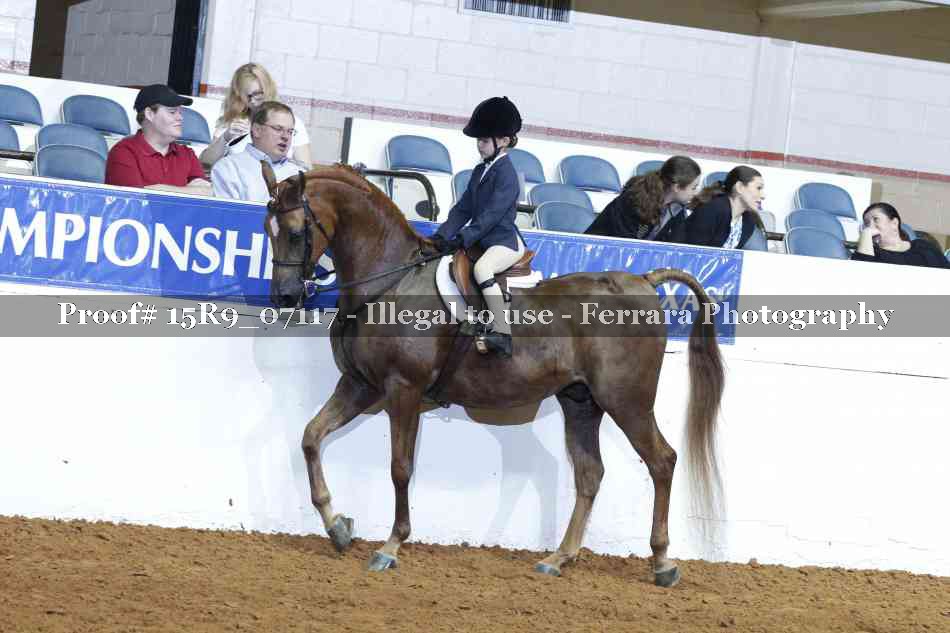 Proof 15R9_07117