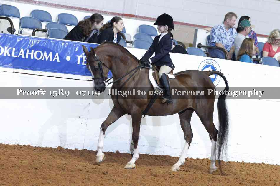 Proof 15R9_07119