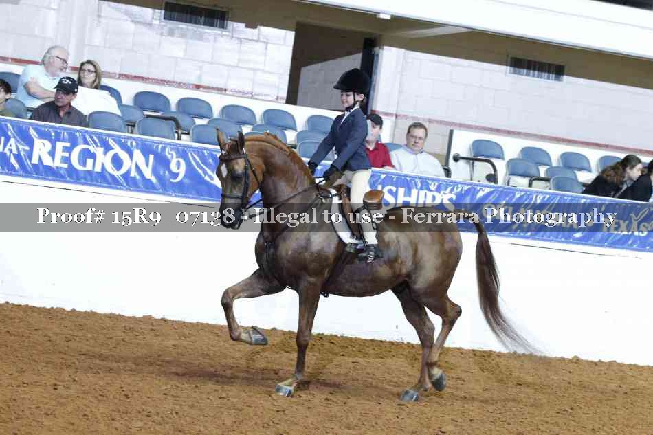 Proof 15R9_07138