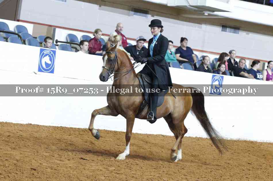 Proof 15R9_07253