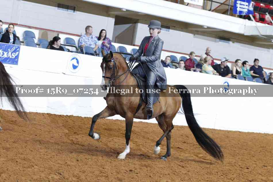 Proof 15R9_07254