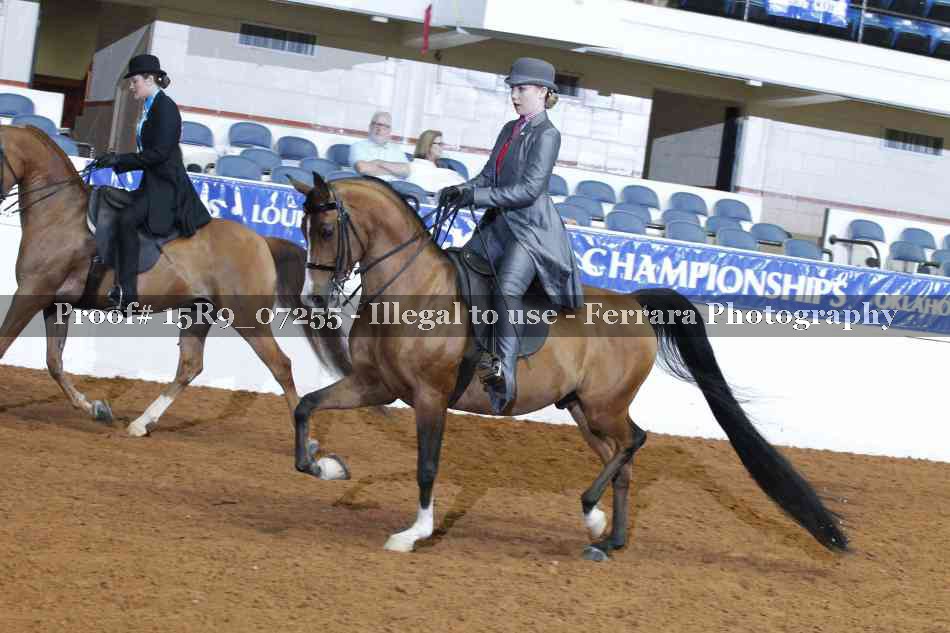 Proof 15R9_07255