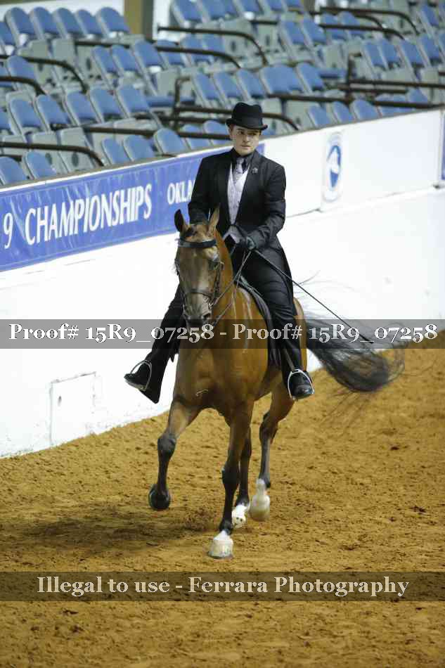 Proof 15R9_07258