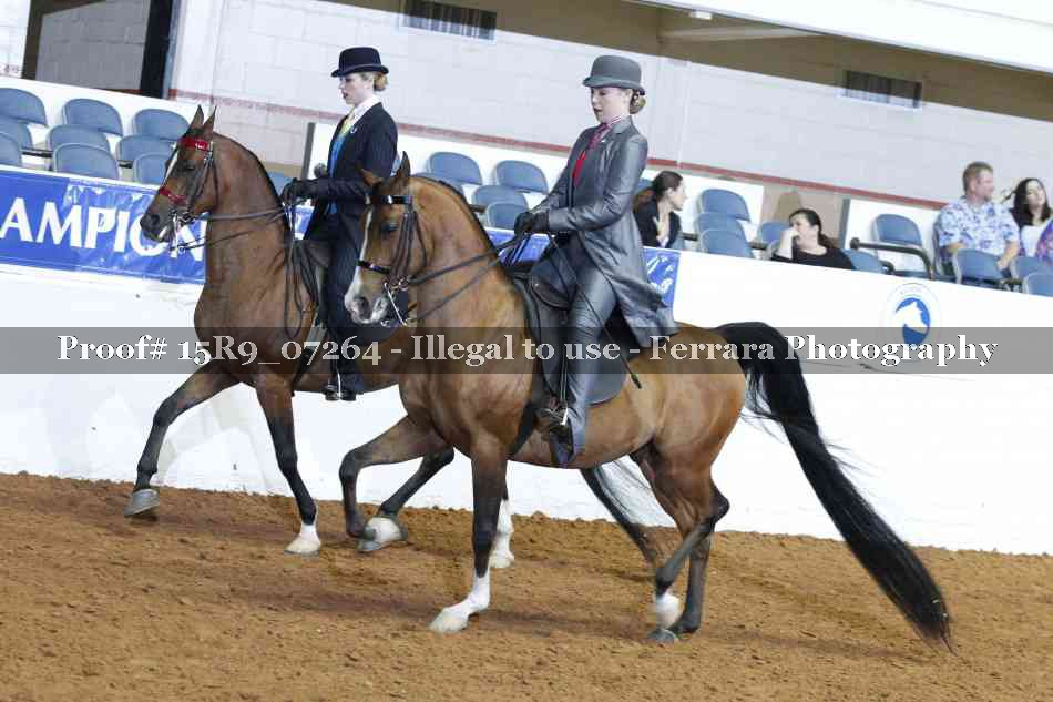 Proof 15R9_07264