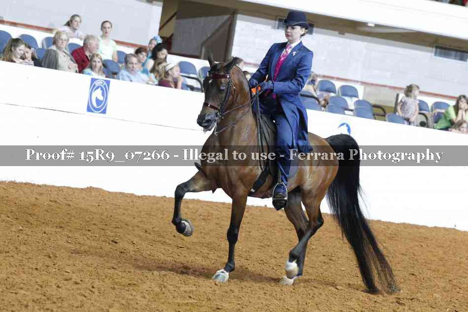Proof 15R9_07266