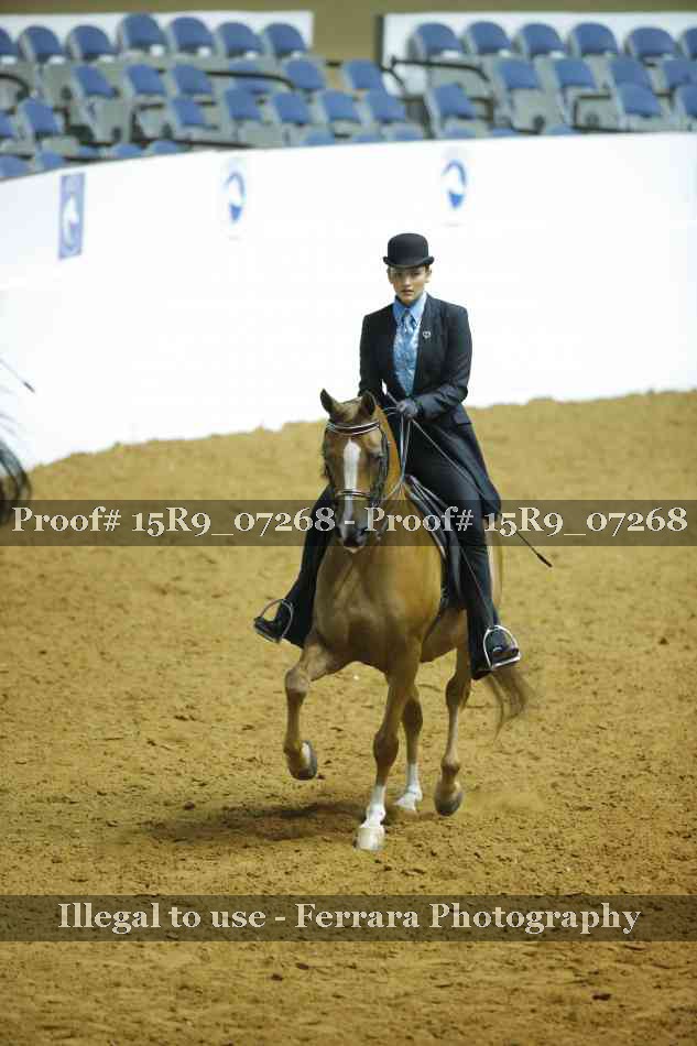 Proof 15R9_07268