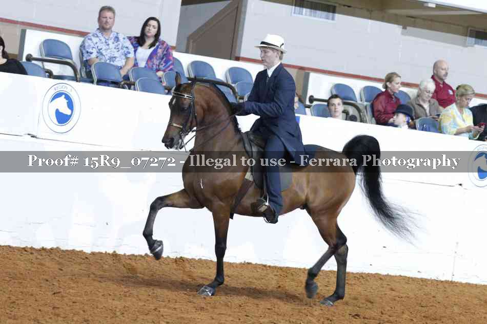 Proof 15R9_07272