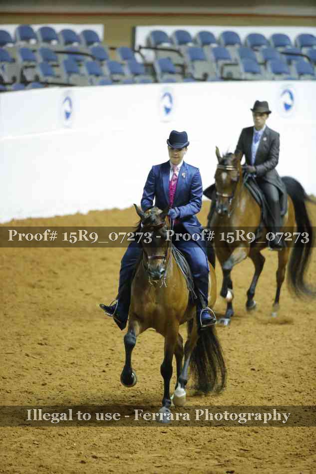 Proof 15R9_07273