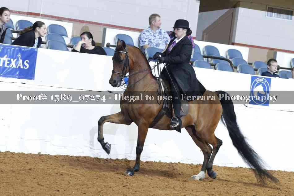 Proof 15R9_07274