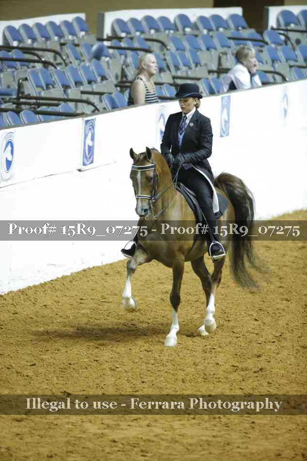 Proof 15R9_07275