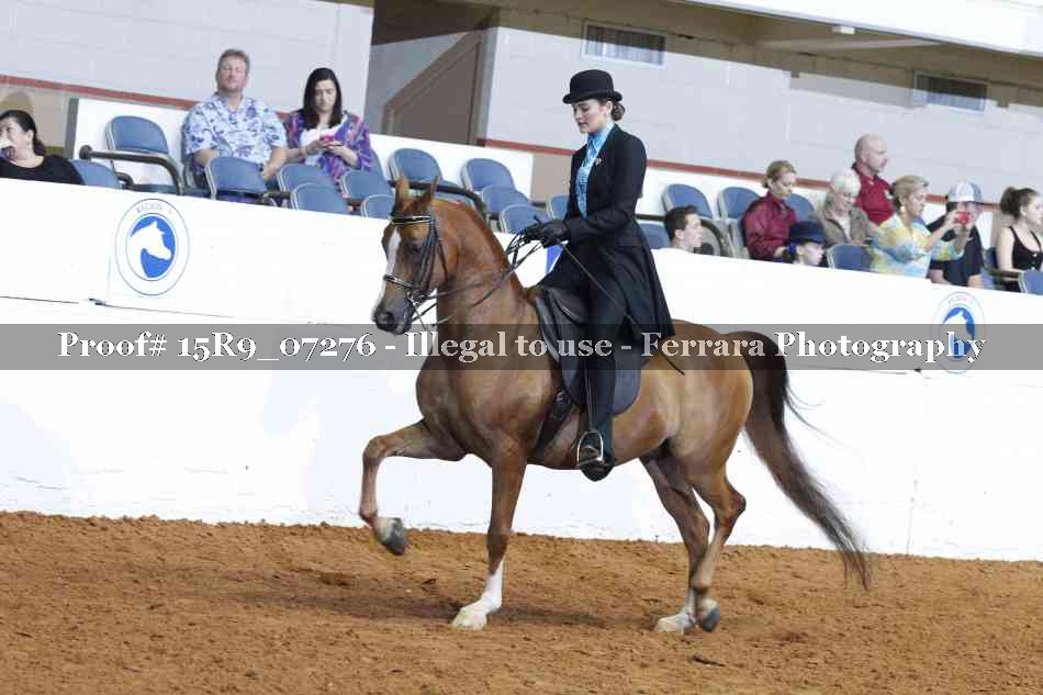 Proof 15R9_07276