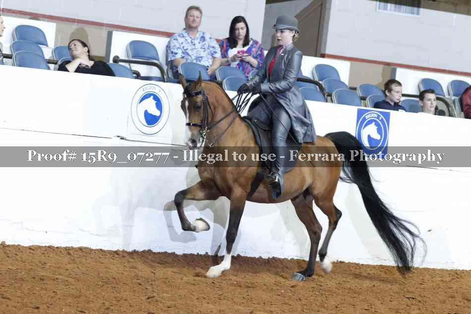 Proof 15R9_07277