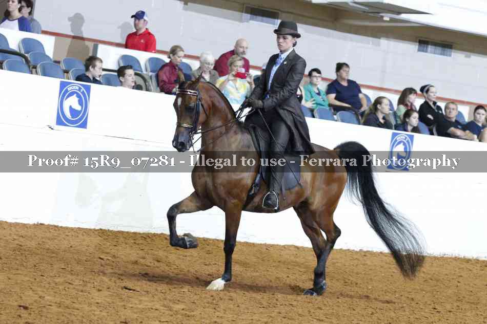 Proof 15R9_07281