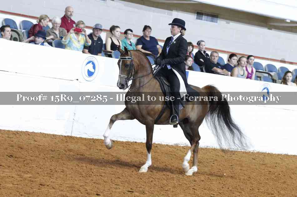 Proof 15R9_07285