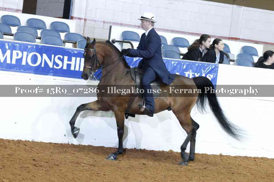 Proof 15R9_07286