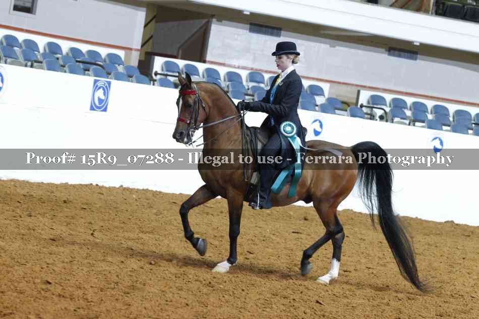 Proof 15R9_07288