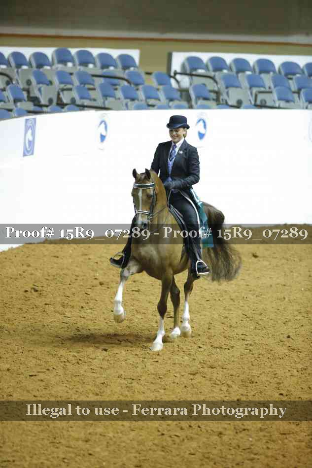 Proof 15R9_07289