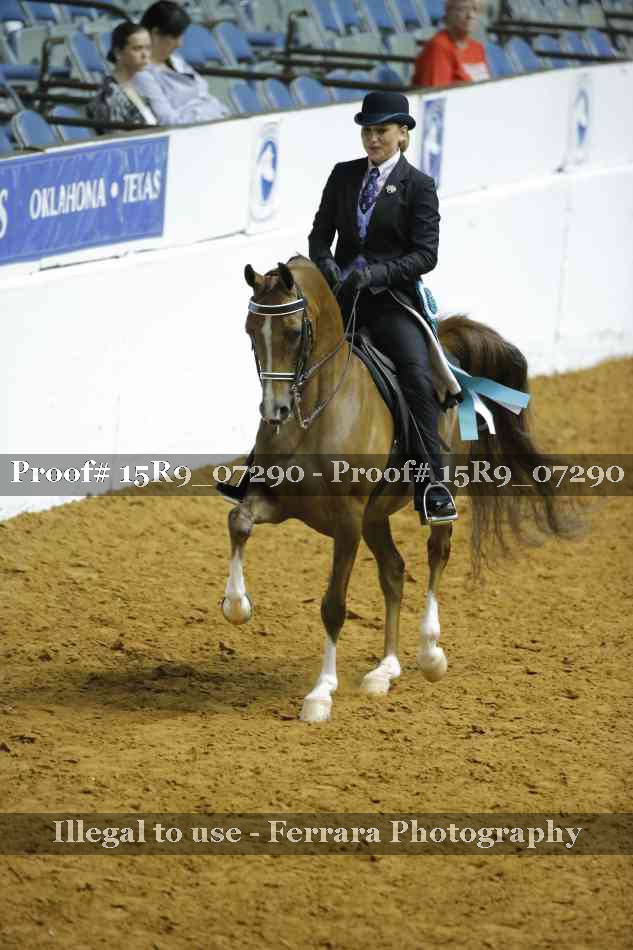 Proof 15R9_07290
