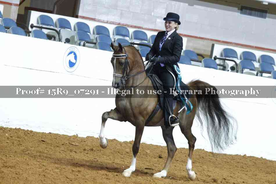 Proof 15R9_07291