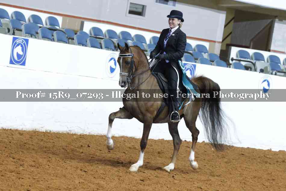 Proof 15R9_07293