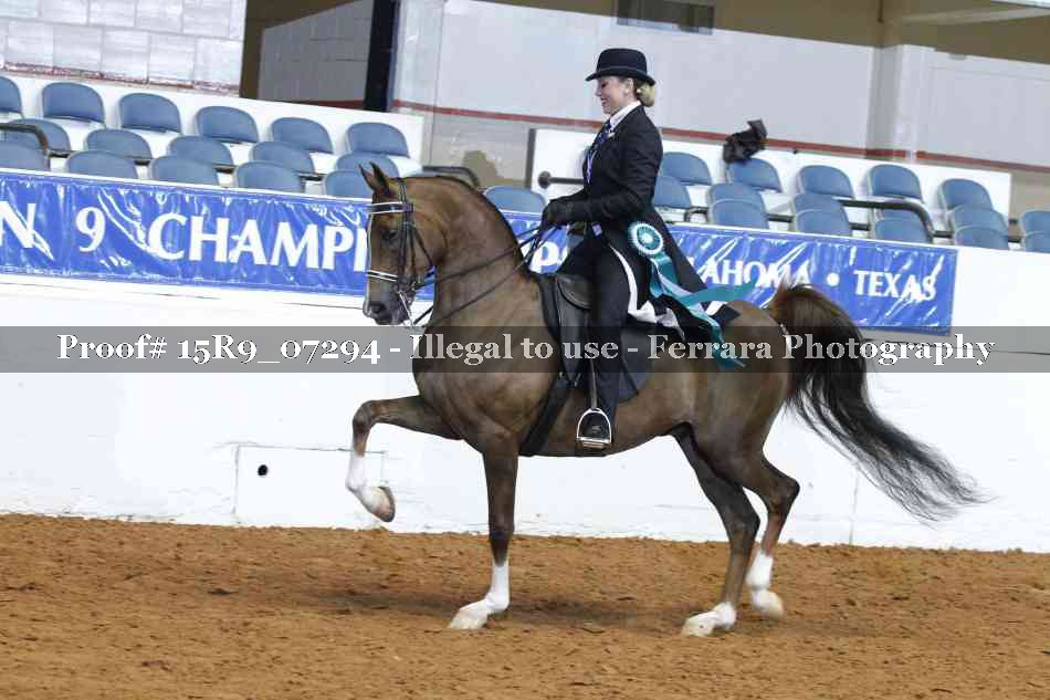 Proof 15R9_07294