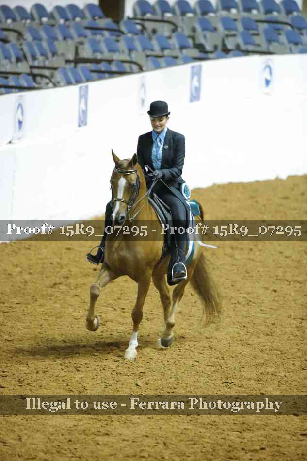 Proof 15R9_07295