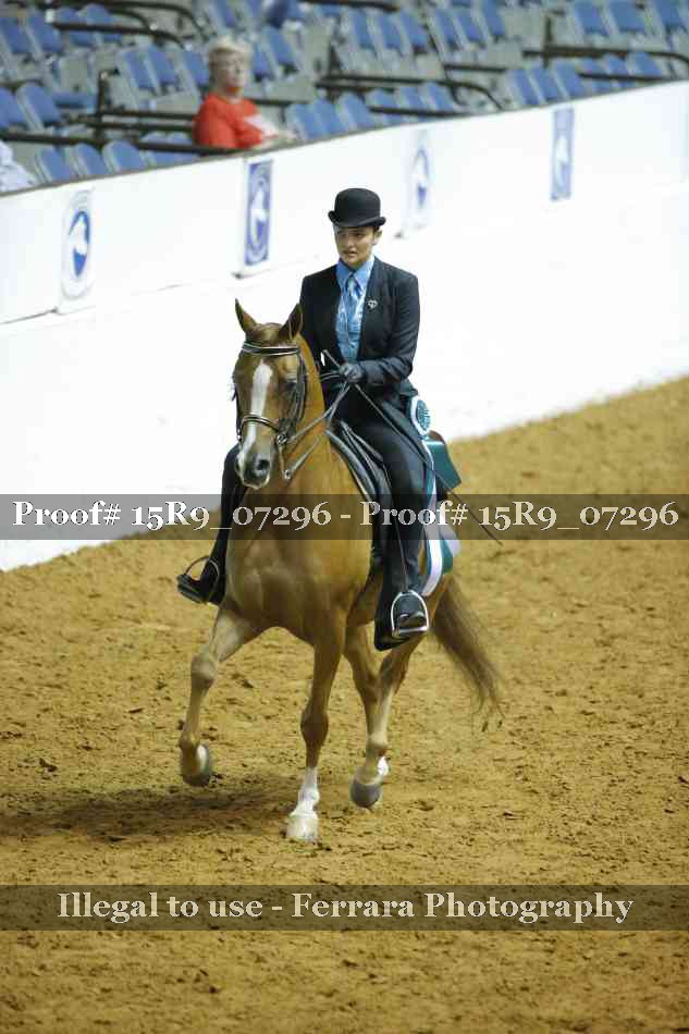 Proof 15R9_07296